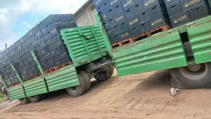 Cacion 2020. Kena Tesabi