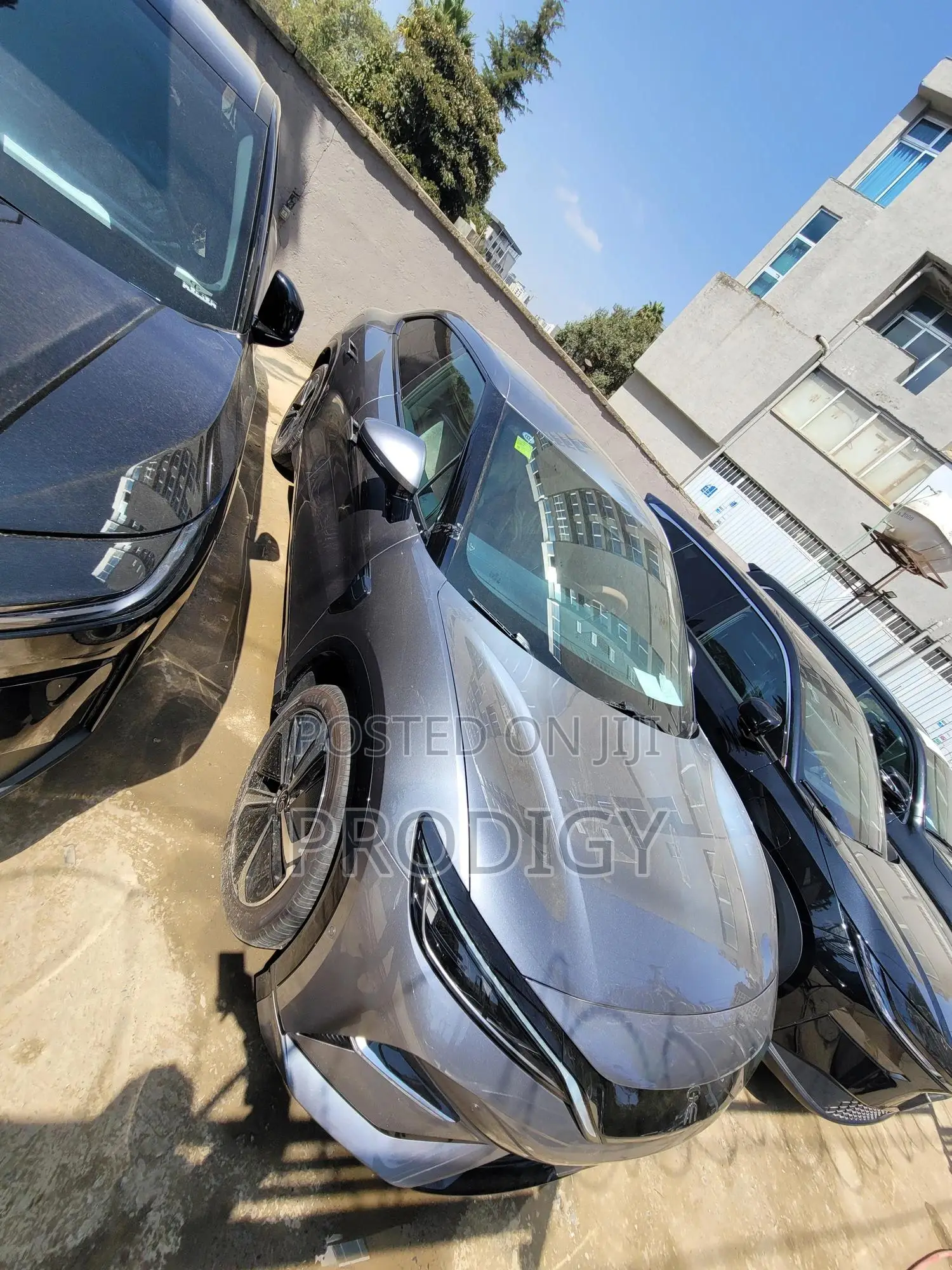 New BYD Song L DM-i 2025 Gray