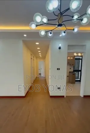 Photo - Furnished 3bdrm Apartment in Ethiopia Real Estate, Nifas Silk-Lafto