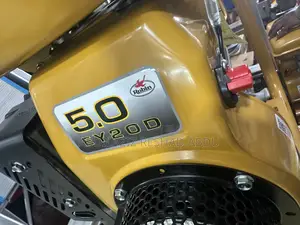 Photo - Robin Vibrator