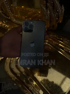 Apple iPhone 13 Pro Max 256 GB Gray