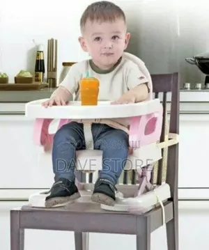 Photo - Mastela Booster to Toddler Seat