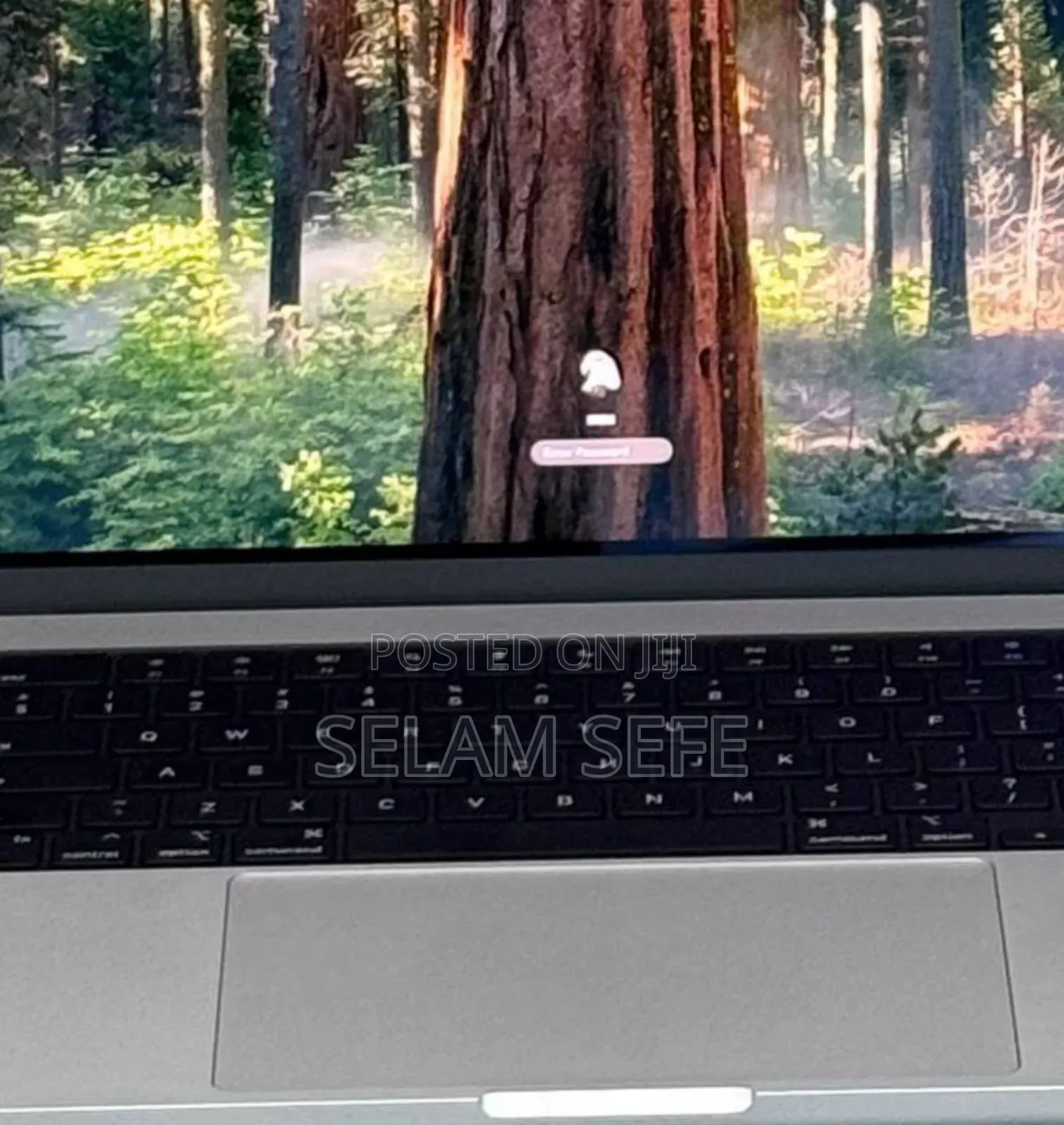 New Laptop Apple MacBook 24GB Apple M4 Pro SSD 512GB