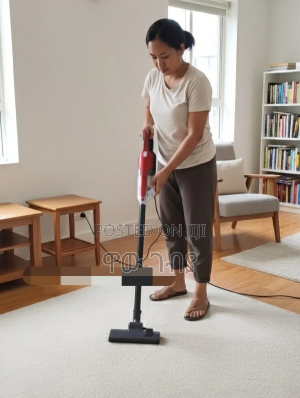 Sonifer Handy Vacuum Cleaner