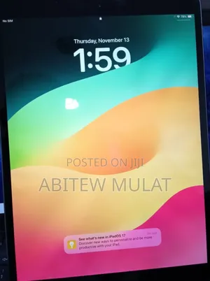 New Apple iPad Pro 256 GB Silver