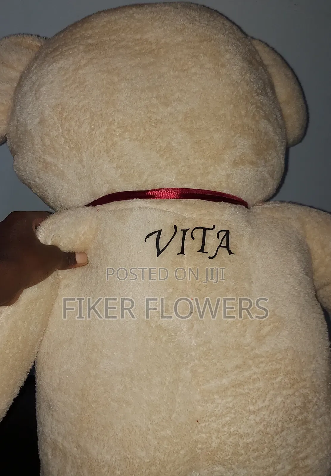 Toy With Gift Package