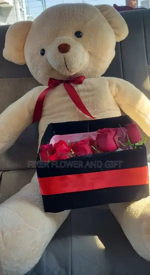Toy With Gift Package