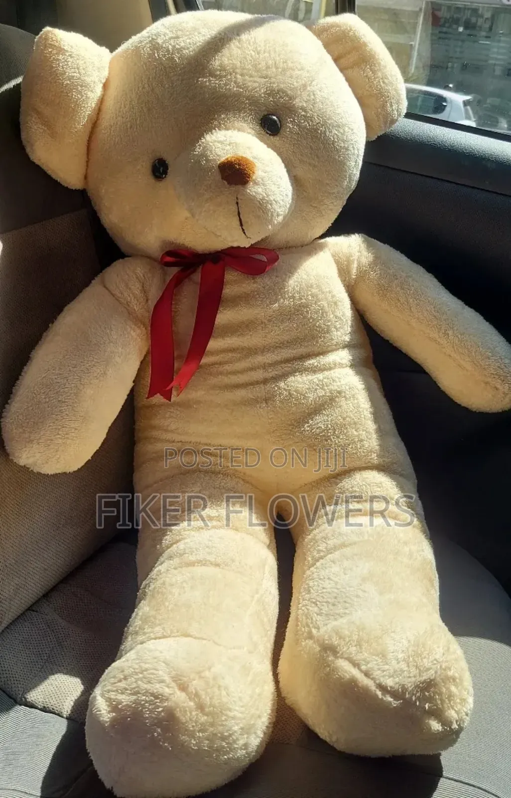 Toy With Gift Package