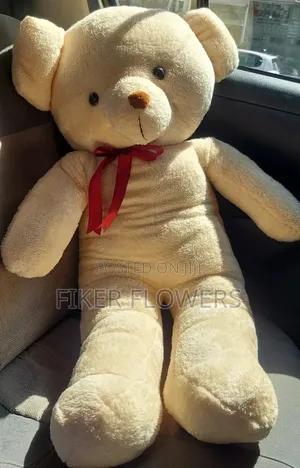 Toy With Gift Package