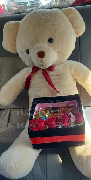 Toy With Gift Package