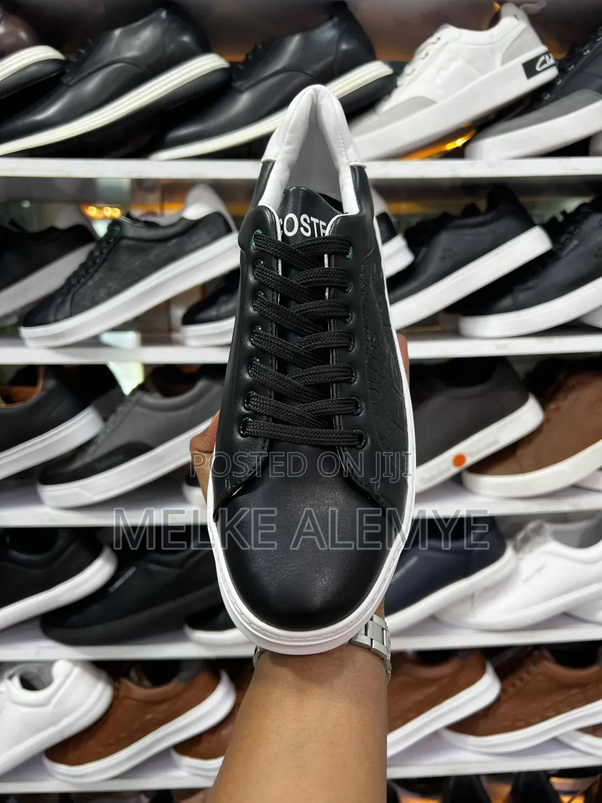 Lacoste Orginal Men's Shoe's