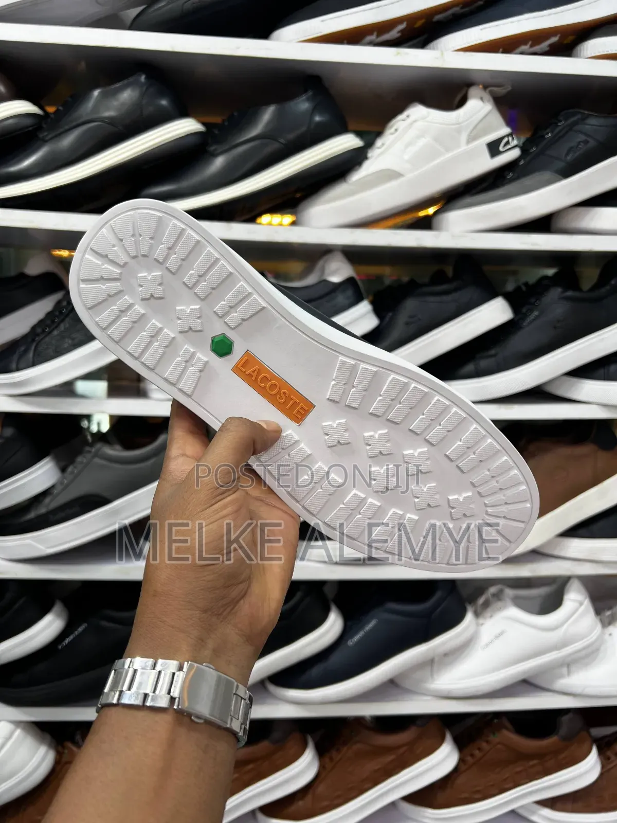 Lacoste Orginal Men's Shoe's