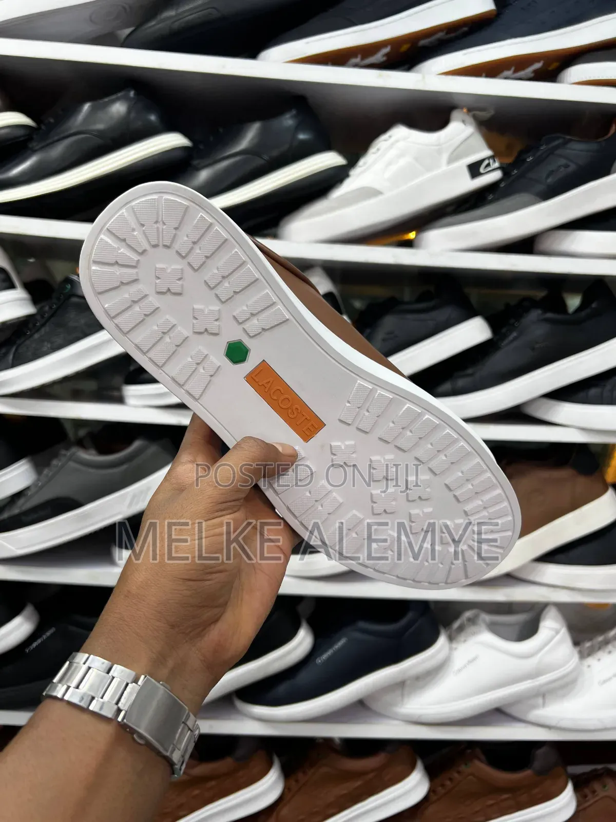 Lacoste Orginal Men's Shoe's