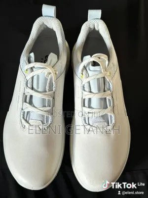 Ecco Orginal Shoe From the Store