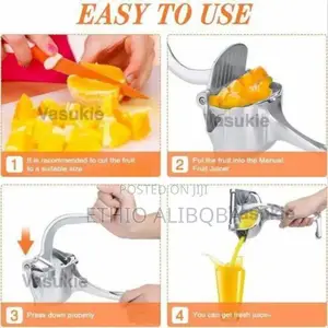 Manual Fruit Press