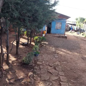 3bdrm House in ኮቶቤ, Yeka for sale