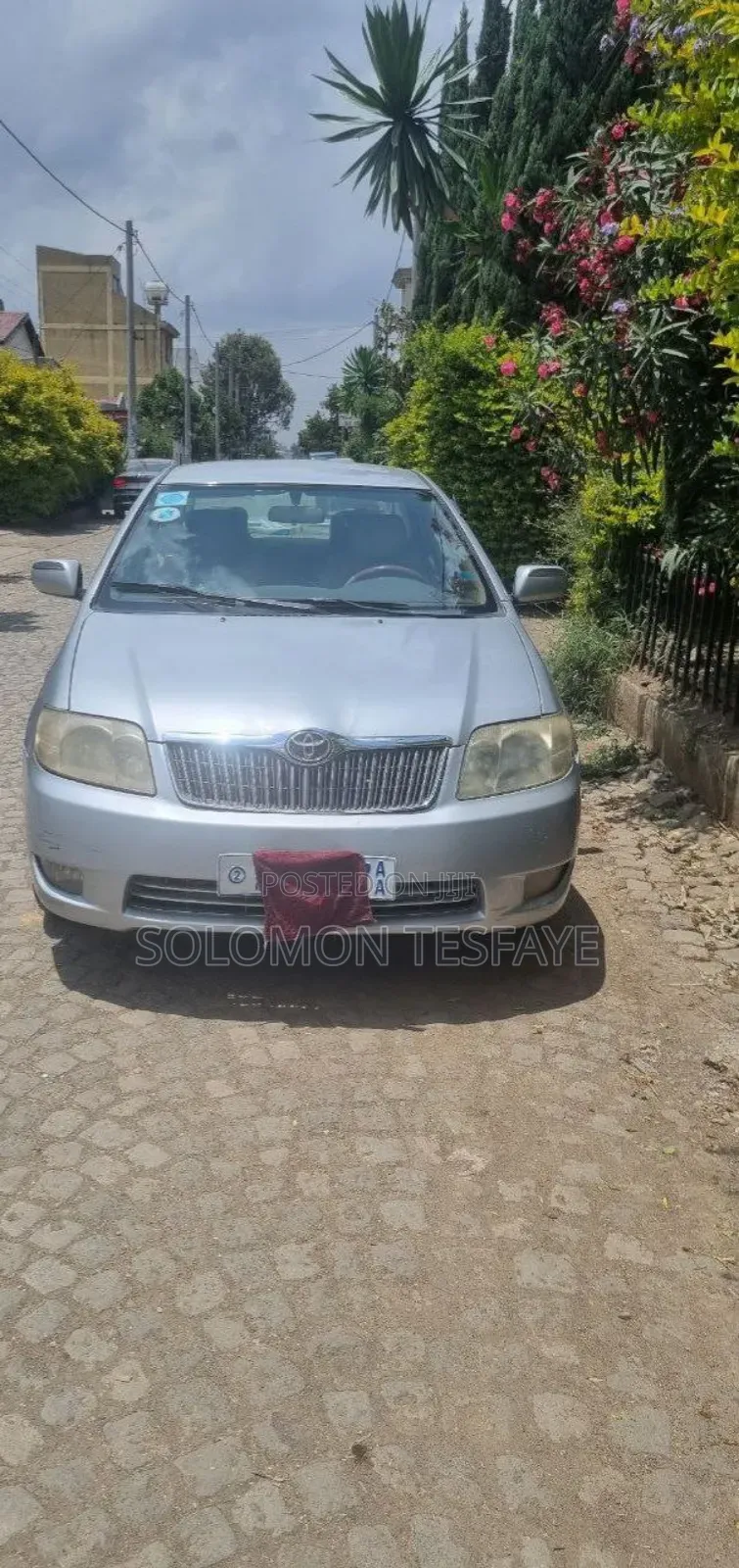 Toyota Corolla Sedan 2005 Gray