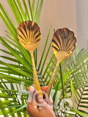 Stainless Steel Serving Spoons