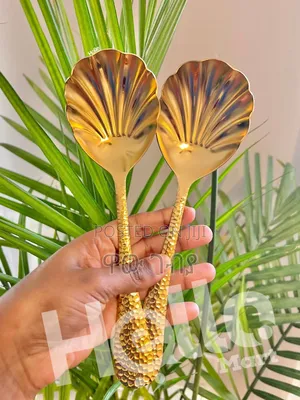 Stainless Steel Serving Spoons