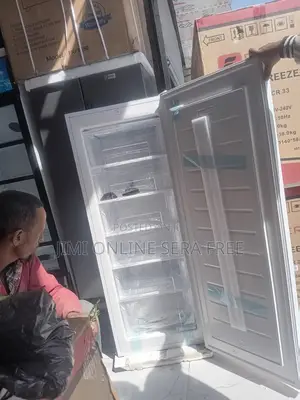 Everest Yekum Dip Chest Freezer Betam Arife Berand New