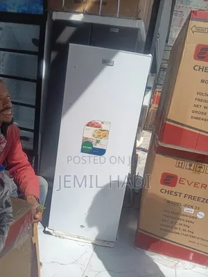 Everest Yekum Dip Chest Freezer Betam Arife Berand New