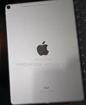 New Apple iPad 10.2 (2019) 256 GB Silver