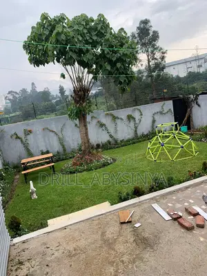 Photo - Ab Gardening