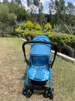 Stroller With Feeding Plate