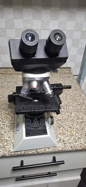 Photo - Olympus Microscope