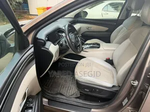 Hyundai Tucson 2021 Brown