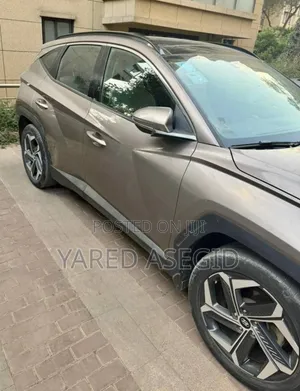 Hyundai Tucson 2021 Brown
