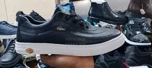 Photo - This Is Apair of Lacoste Snickers With a Multicolor Men's Shoes