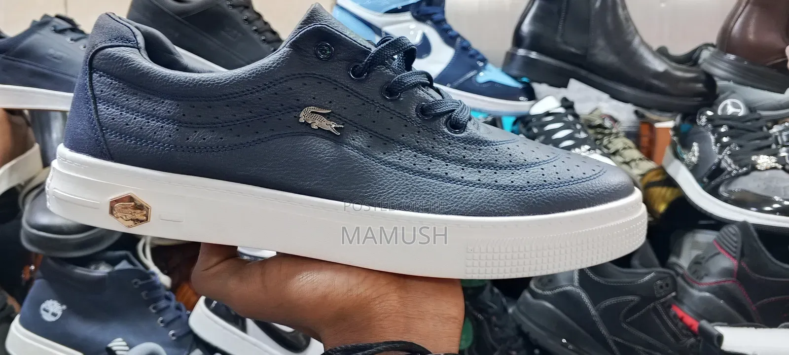 This Is Apair of Lacoste Snickers With a Multicolor Men's Shoes