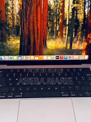 New Laptop Apple MacBook Pro M1 16GB Apple M1 Pro SSD 512GB