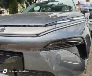 New BYD Tang DM-i 2025 Gray