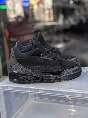 Air Jordan 3 Black Cat
