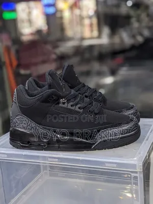 Air Jordan 3 Black Cat