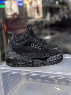 Air Jordan 3 Black Cat