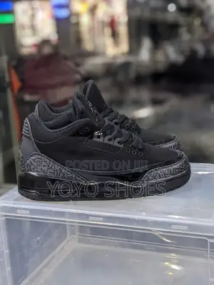 Air Jordan 3 Black Cat