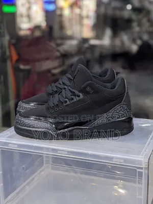 Air Jordan 3 Black Cat