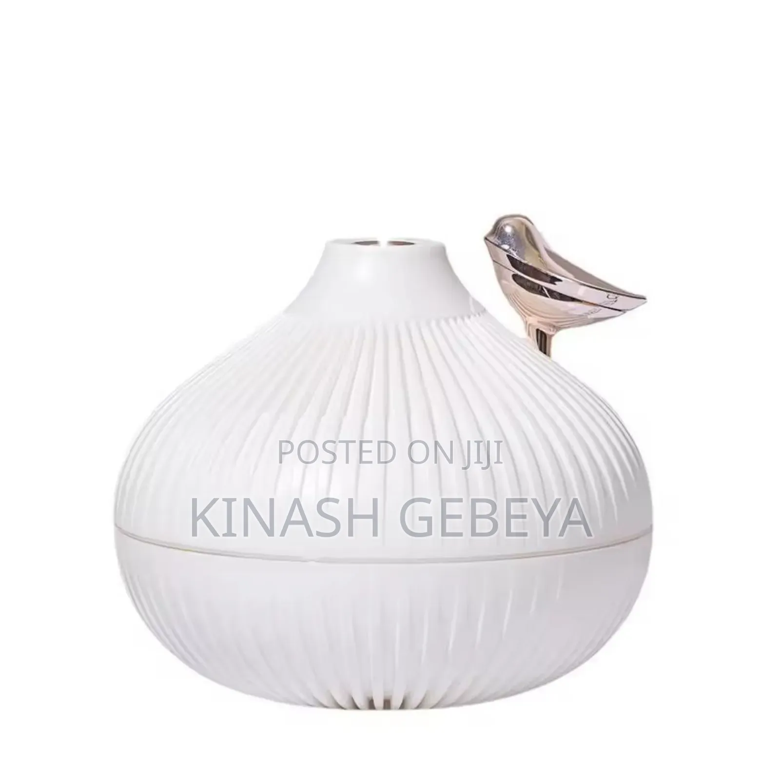 High Quality Onion Shape Humidifier