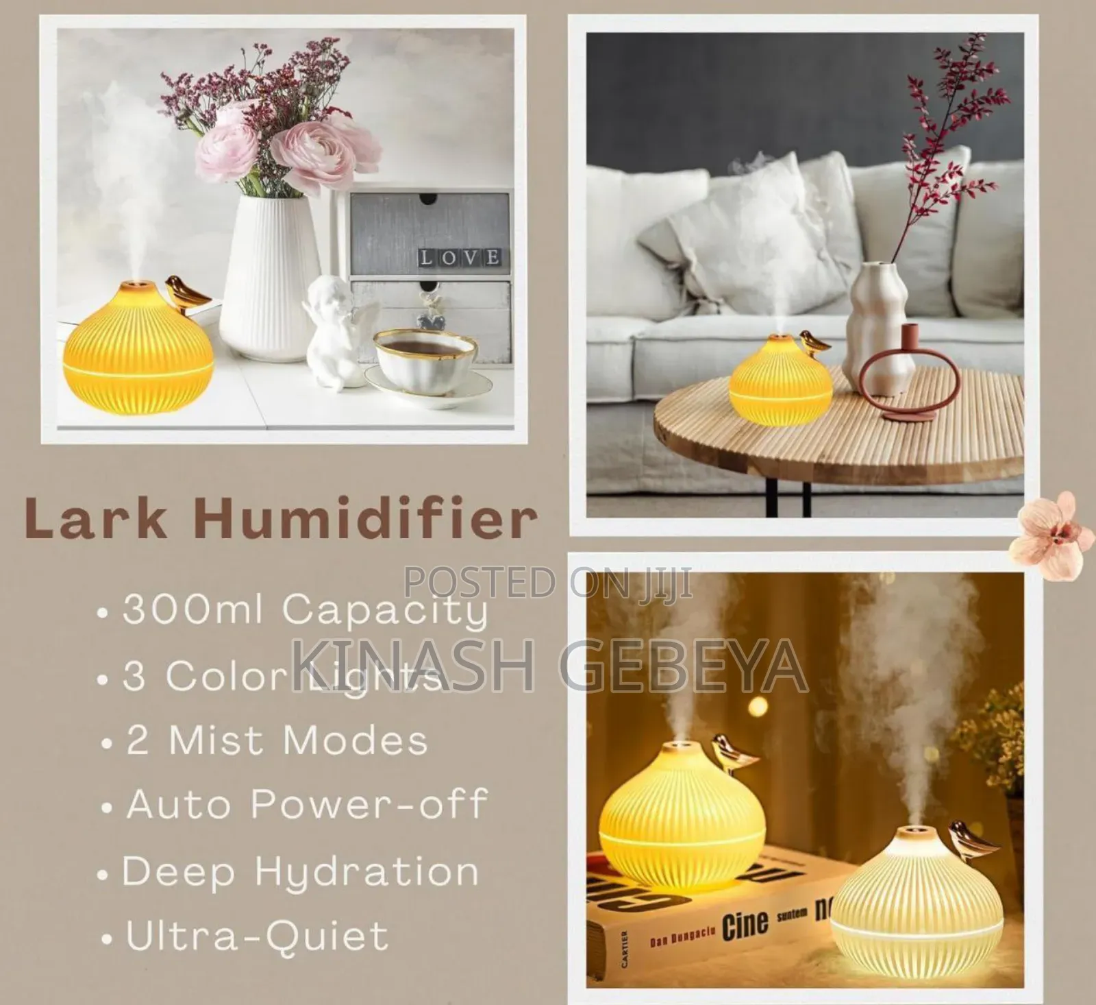 High Quality Onion Shape Humidifier
