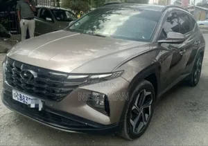 Hyundai Tucson 2021 Brown