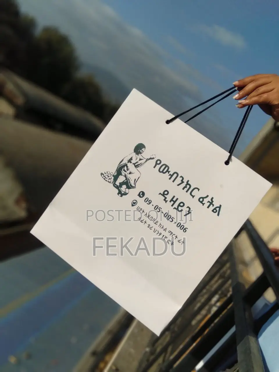 Paper Bag, Shopping Bag, Printing, Silkscreen