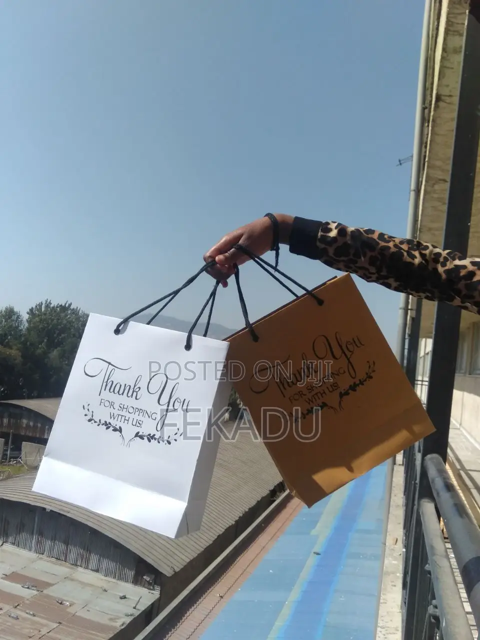 Paper Bag, Shopping Bag, Printing, Silkscreen