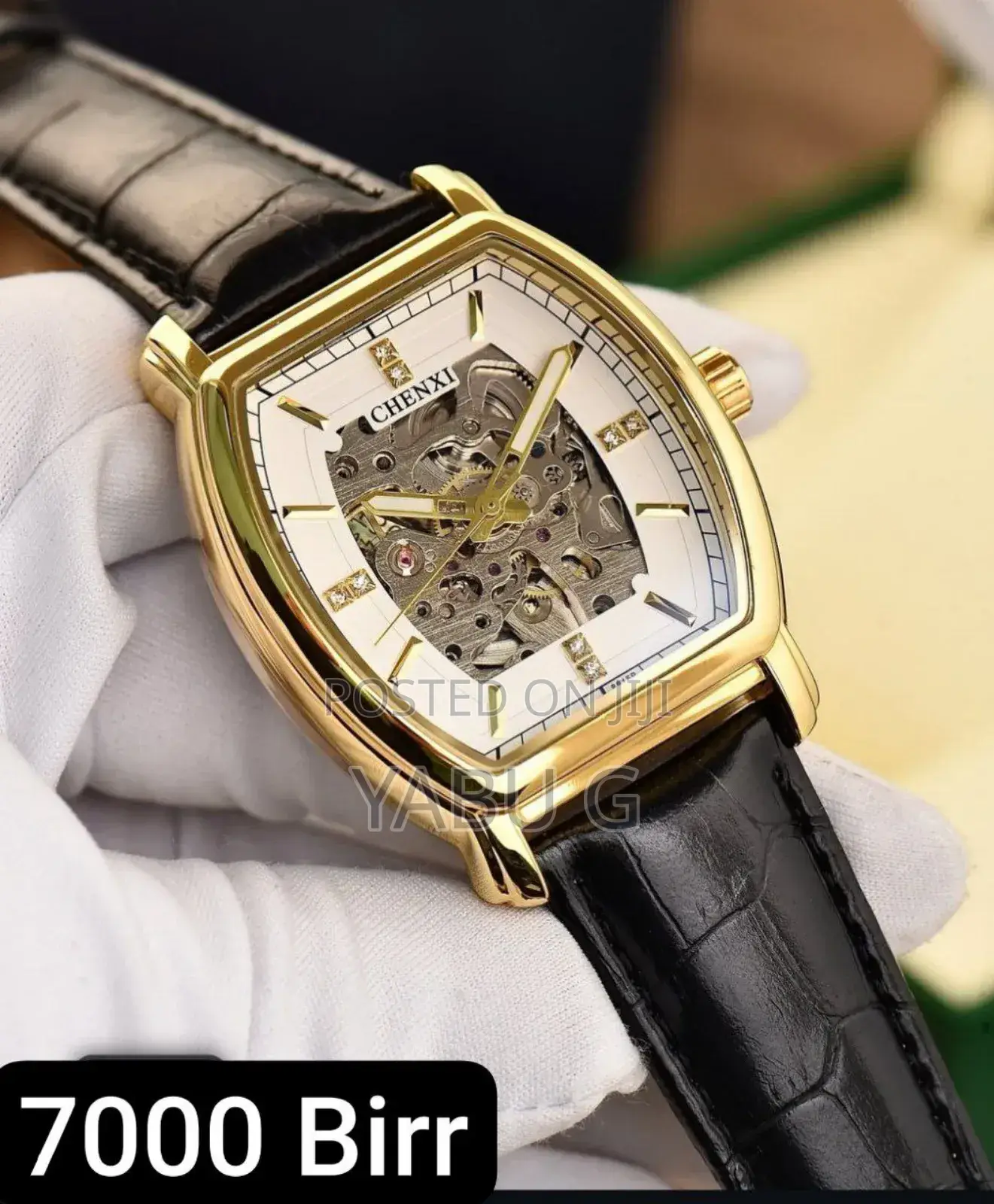 Chenxi Full Automatic Mechanical Men's Watch
