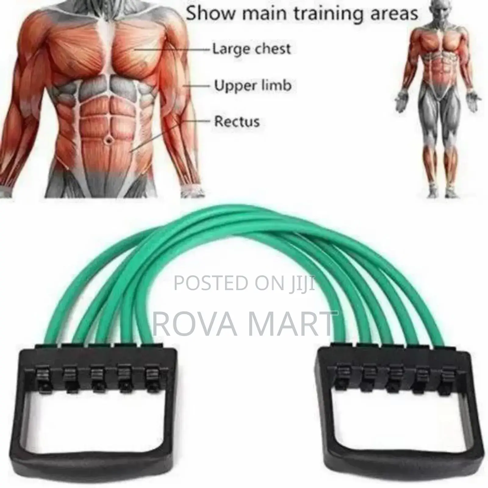 Chest Expander