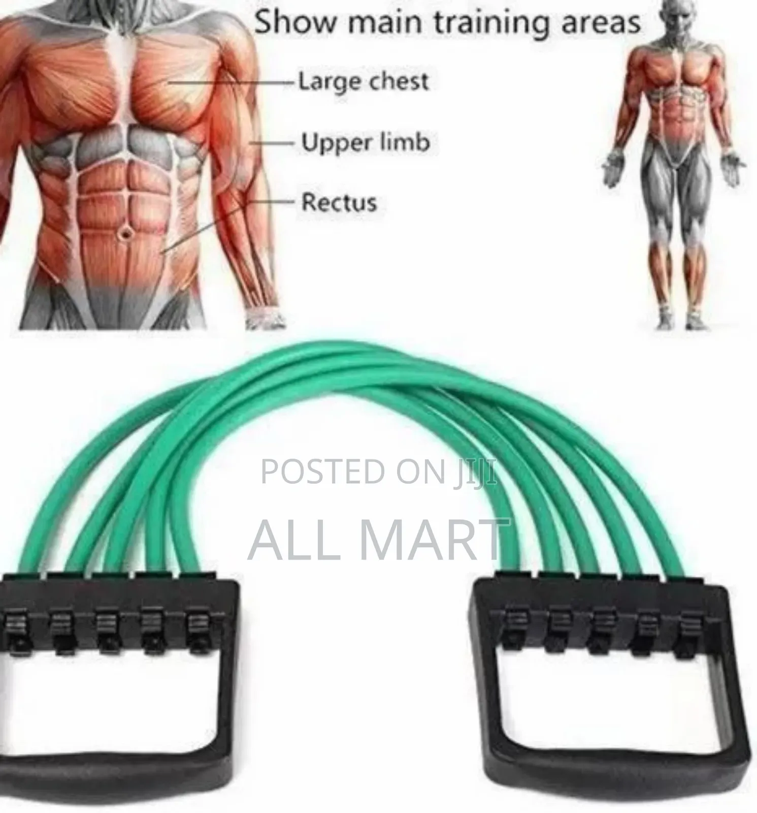 5spring Chest Expander