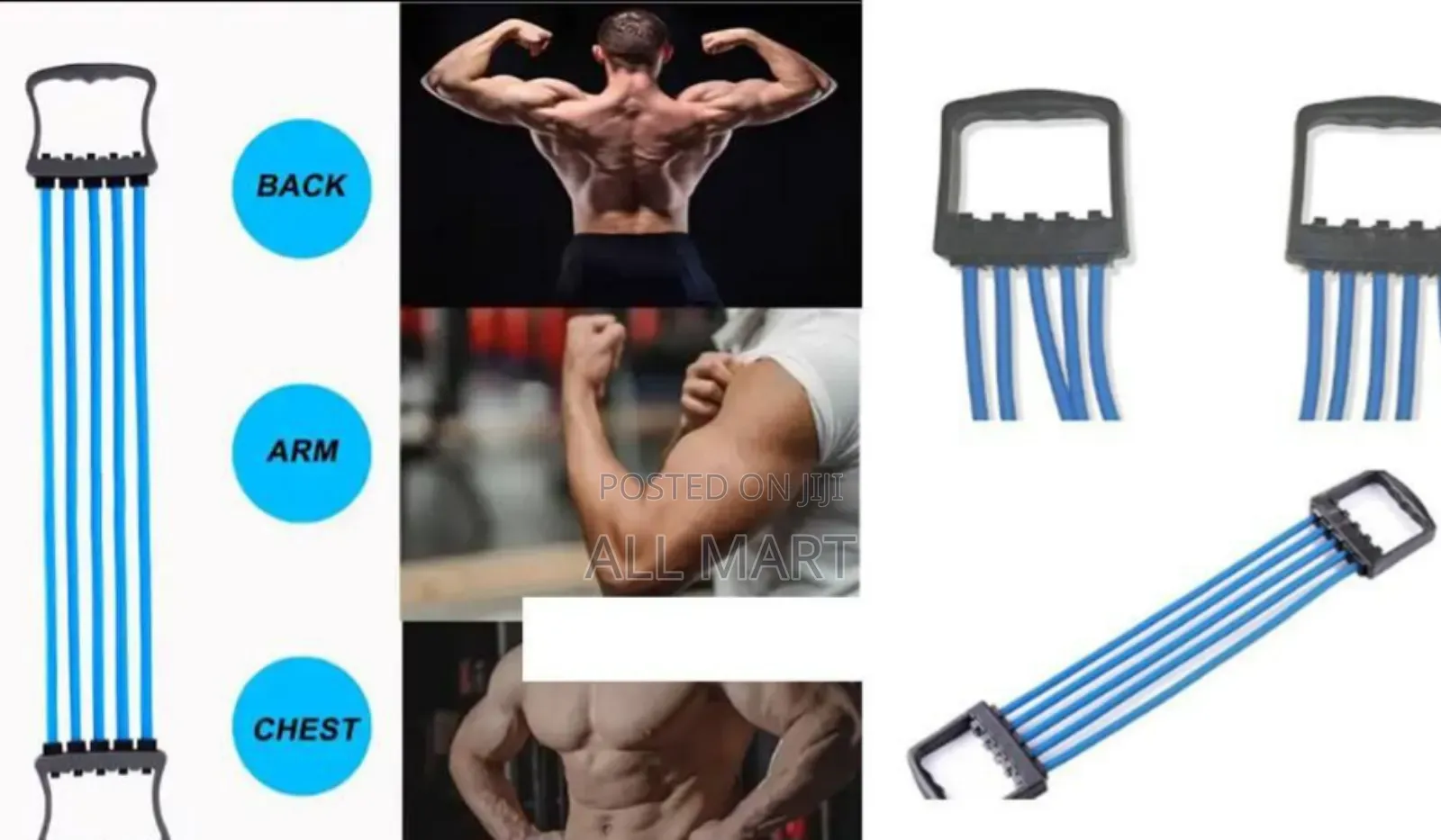 5spring Chest Expander