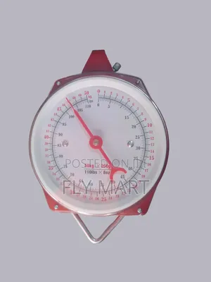 Photo - ተጠልጣይ ሚዛን Hanging Scale